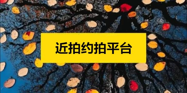 3. 进入编辑界面后