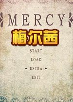 可能会遇到兼容性问题